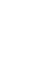 Bregu sha,Bregu group